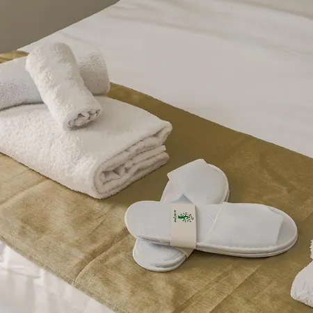 Vatican Lem Collection